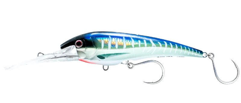 Spanish Mackerel