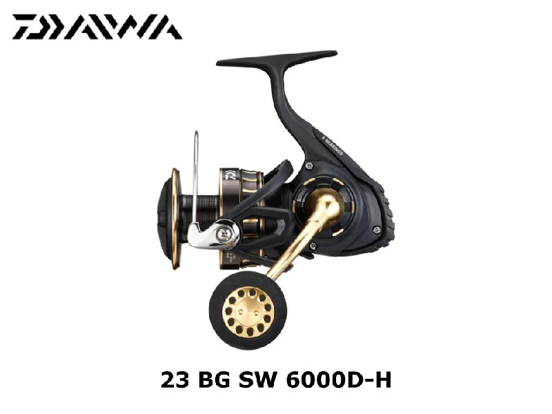 Daiwa 23 BG SW 6000D-H